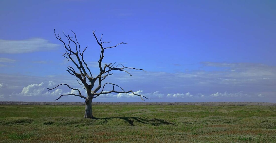 Photo: IANS/Representative image