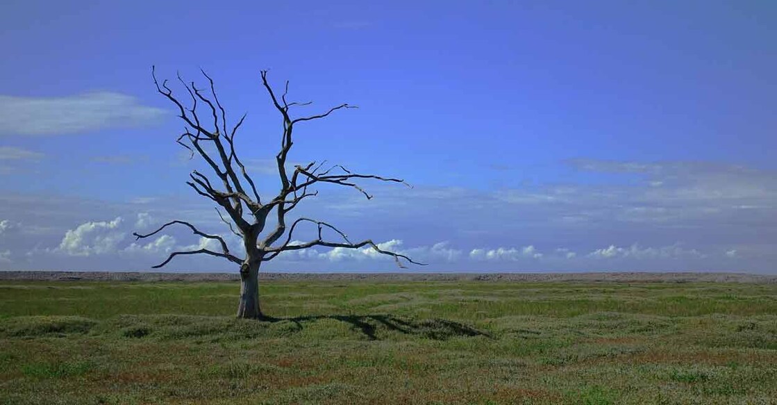 Climate Change. Representational image: IANS