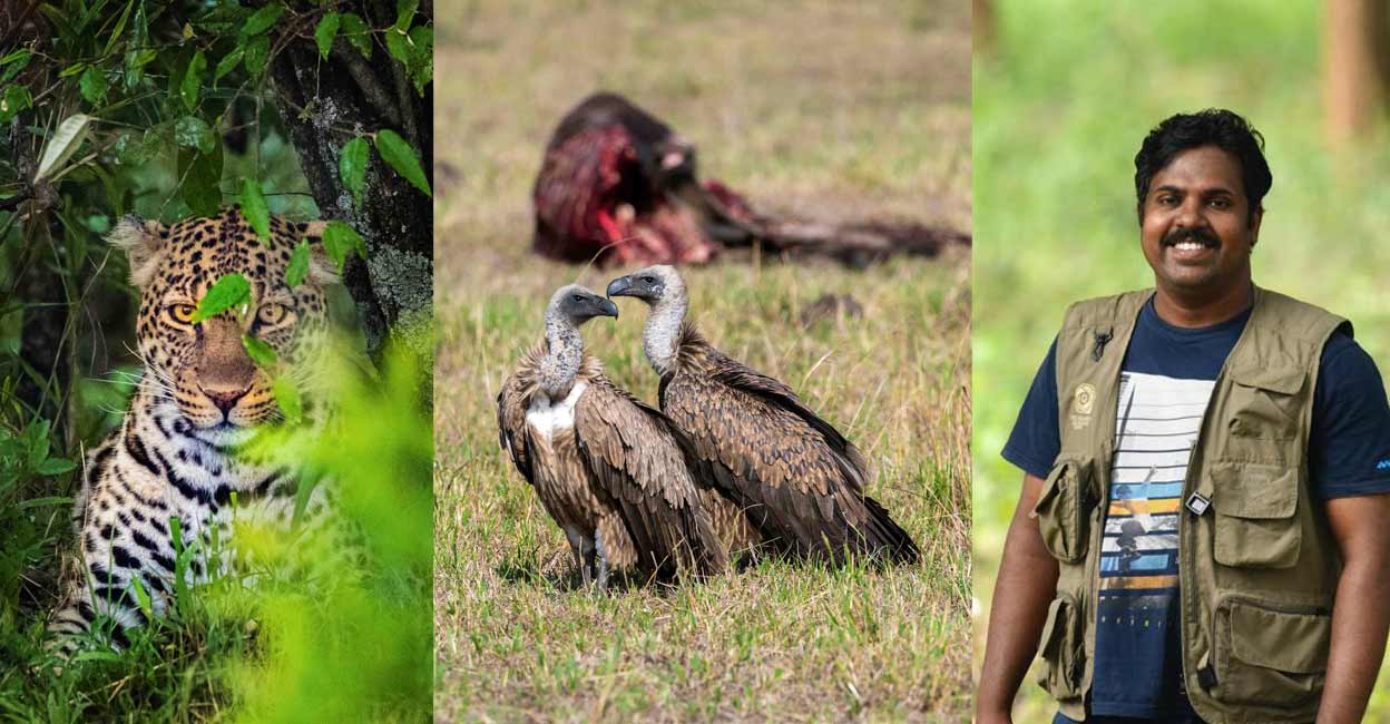 Pictures from Maasai Mara (L), Dr Vinod Madhavan (R). Photo: Dr Vinod Madhavan