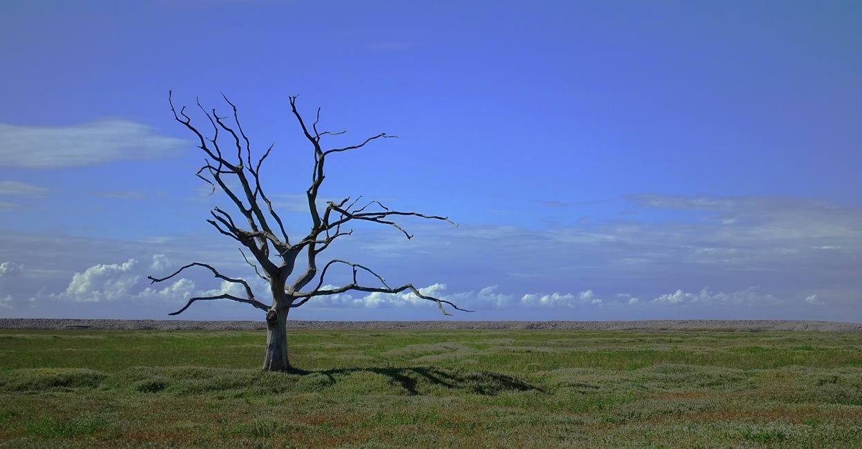 Climate Change. Photo: IANS/Representative image