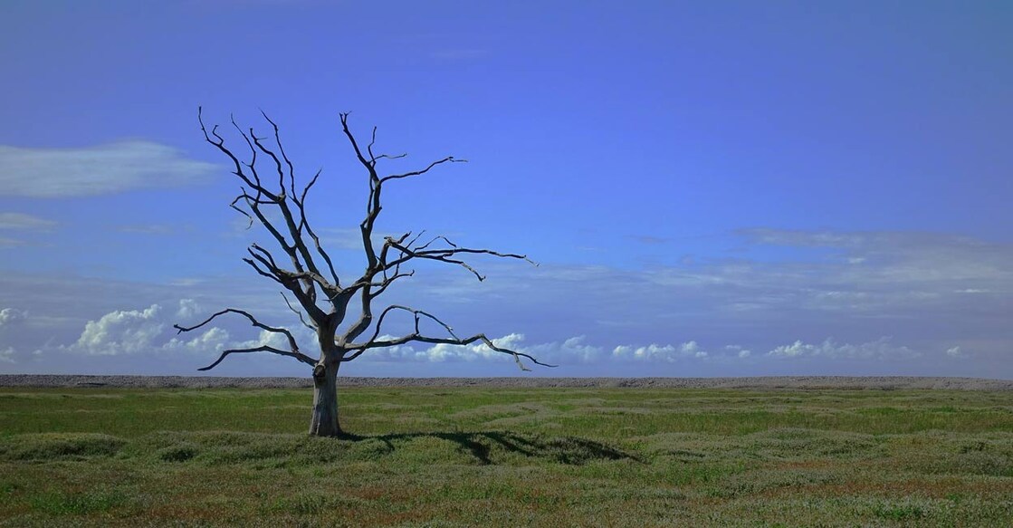 Photo: IANS/Representative image