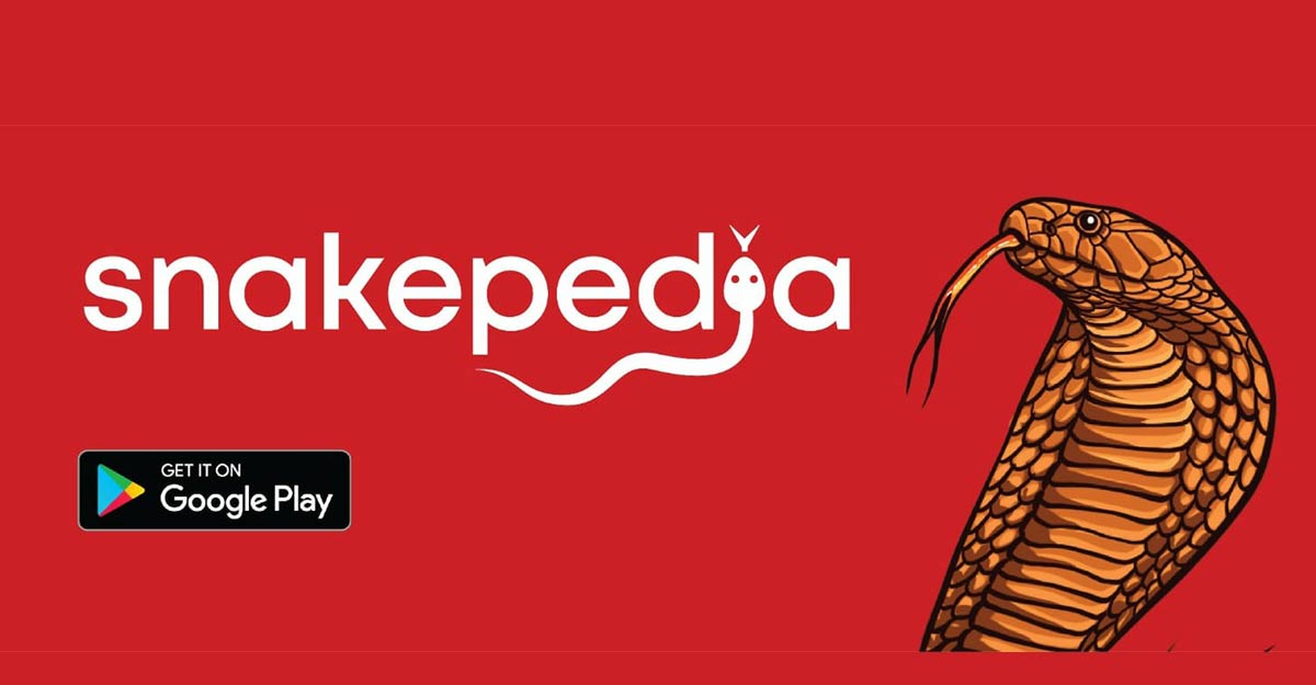 Snakepedia app is here to help you identify snakes and save lives