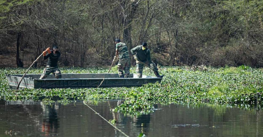 Algae in abundance in the Ganga water may harm the aquatic life in the river. Image courtesy: IANS
