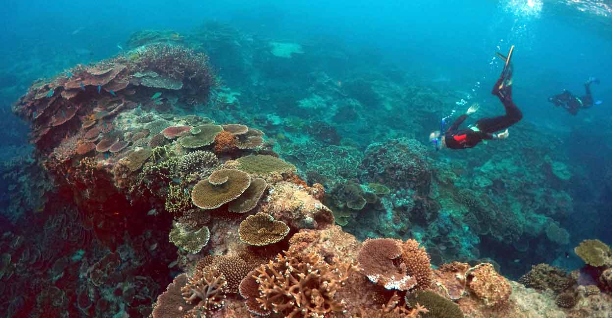 Great Barrier Reef row mounts pressure on Australia for climate action ...
