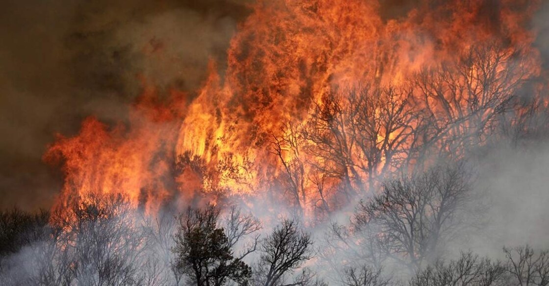 wildfire