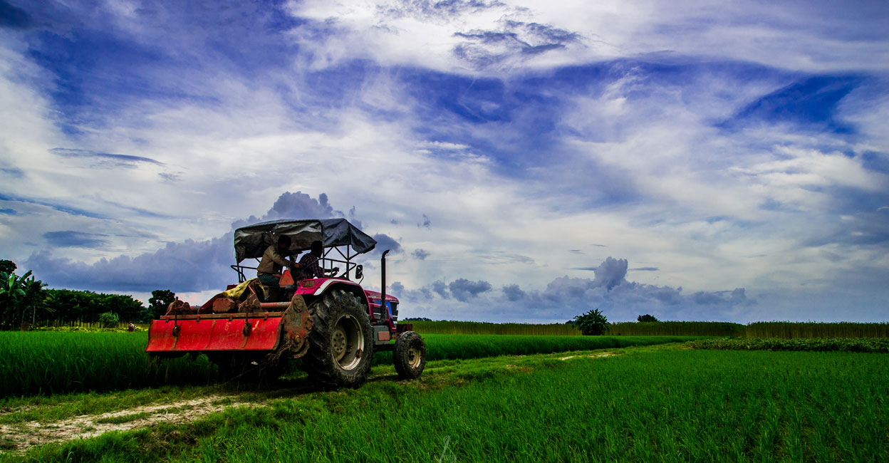 For agriculture, India, the Philippines and Indonesia have a higher likelihood of automation for the sector. Image courtesy: IANS
