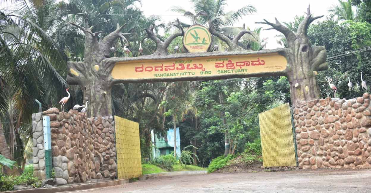 Pakshi Kaashi Ranganathittu opens for public story