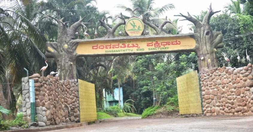 Ranganathittu Bird Sanctuary in Karnataka opens for public | Lifestyle ...