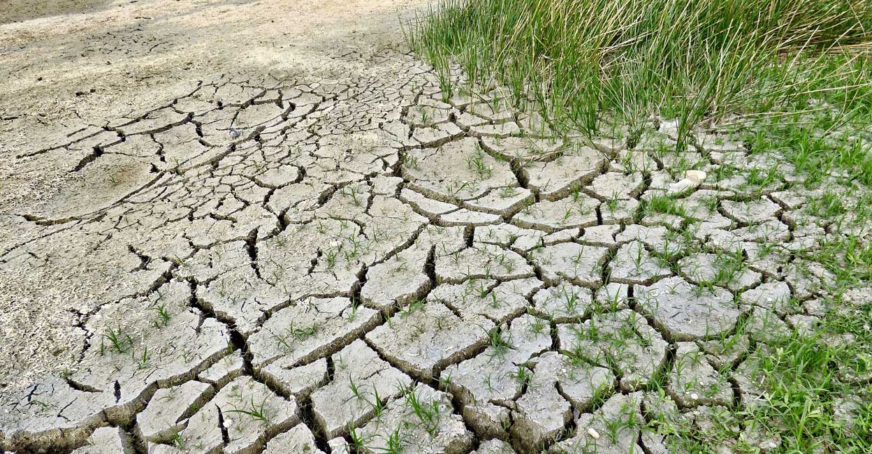 drought-climate
