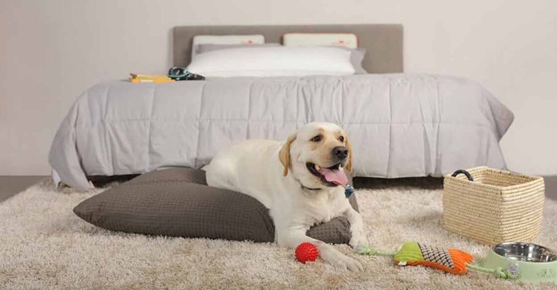 Representational image: IANS