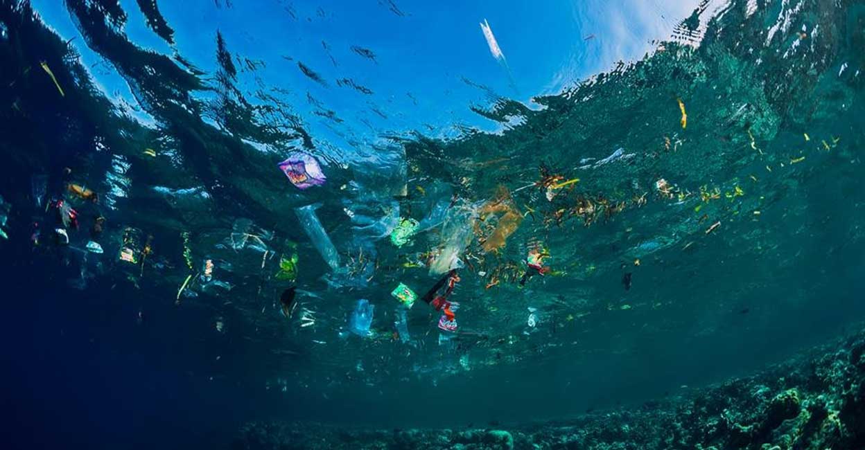 NASA satellite data helps track ocean microplastics from space Representative image: IANS