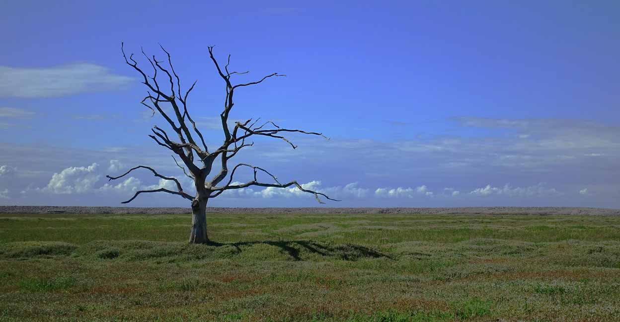 Climate Change. Image used for the representational purpose: Photo courtesy: IANS