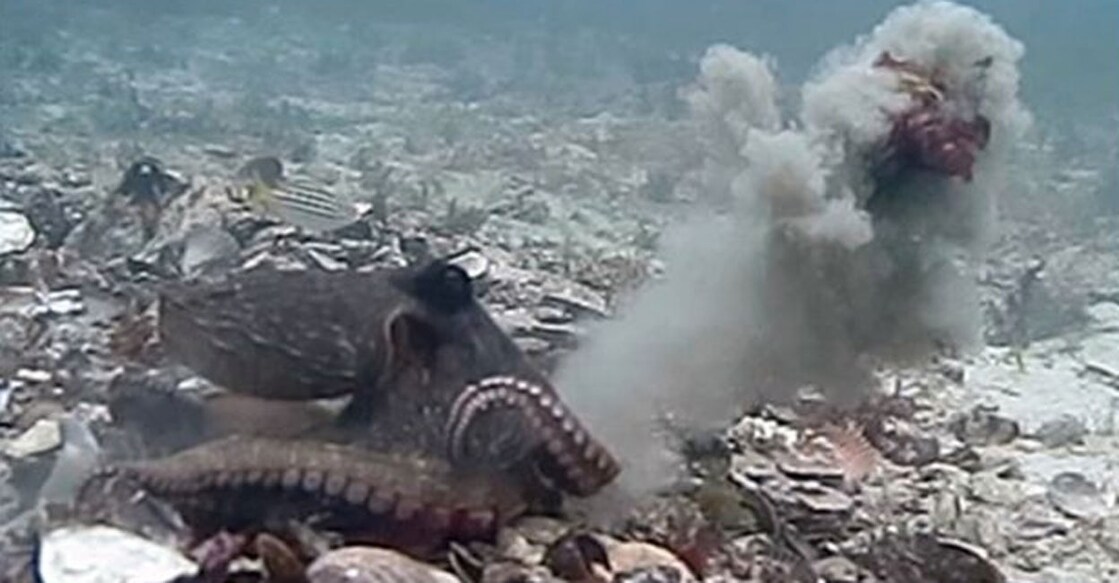 Image courtesy: IANS