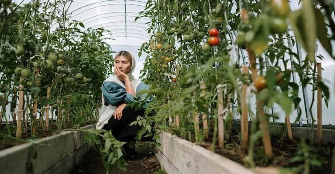 Image used for representational purpose. Photo: IANS