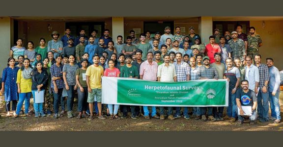 survey team survey team