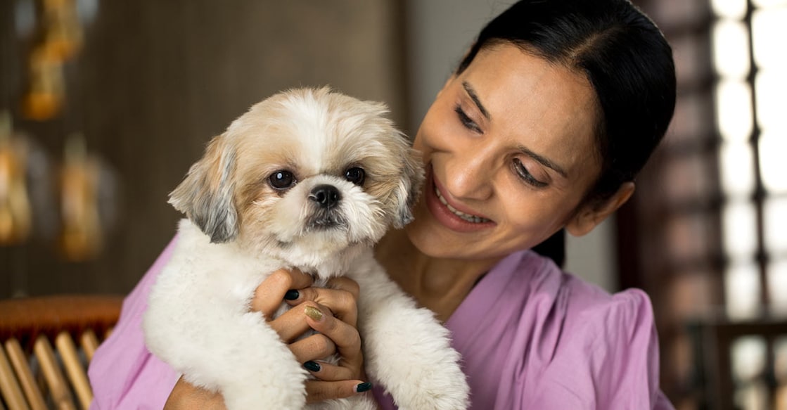 There are several methods to keep pets warm in winter.Photo: triloks / iStock