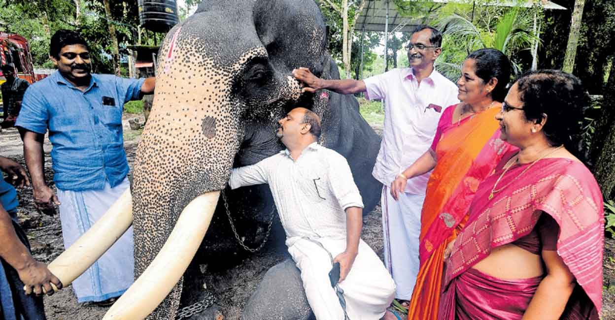 (From L to R) Joshy Mathew, Mathukutty George, Antony George, Kunjumol and Dr. Kunjamma with the elephant Ravi.
