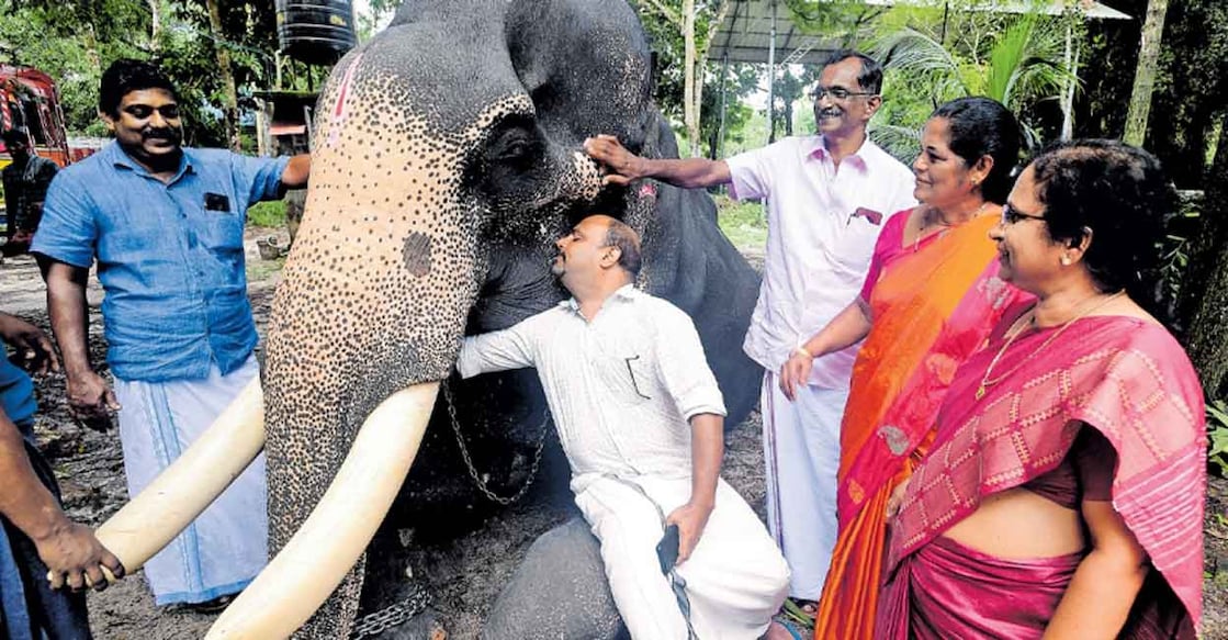 Ravi the elephant (From L to R) Joshy Mathew, Mathukutty George, Antony George, Kunjumol and Dr. Kunjamma with the elephant Ravi.