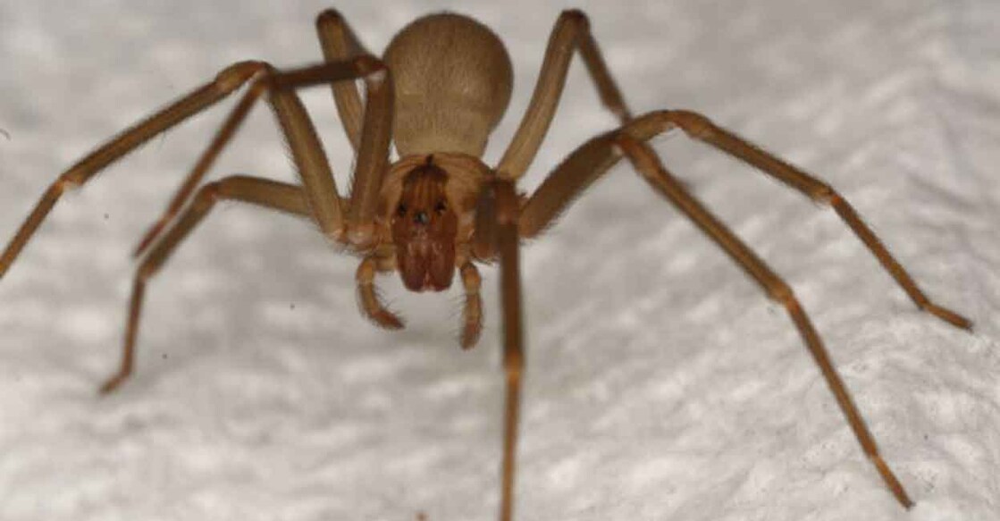 Image used for representational purpose. Photo: IANS