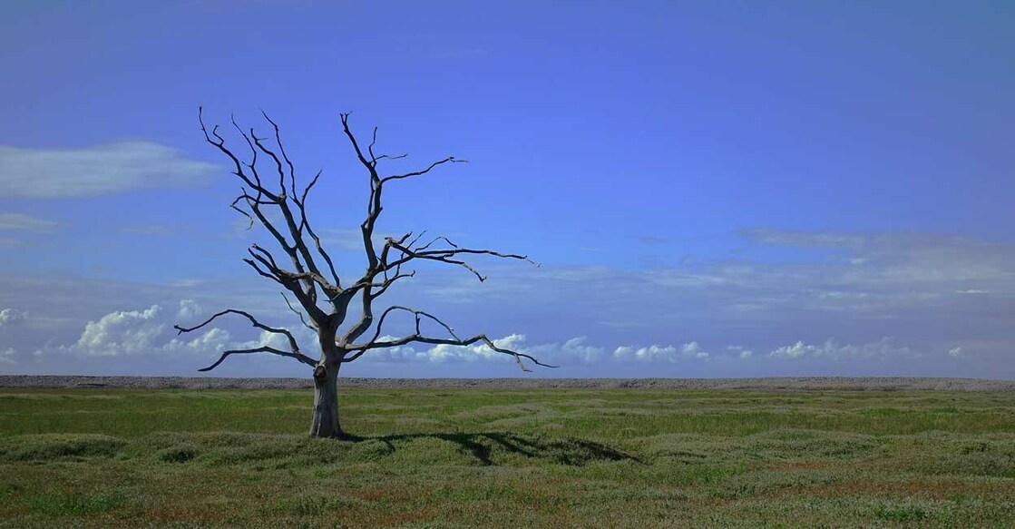 Climate Change. Representative image. Photo: IANS