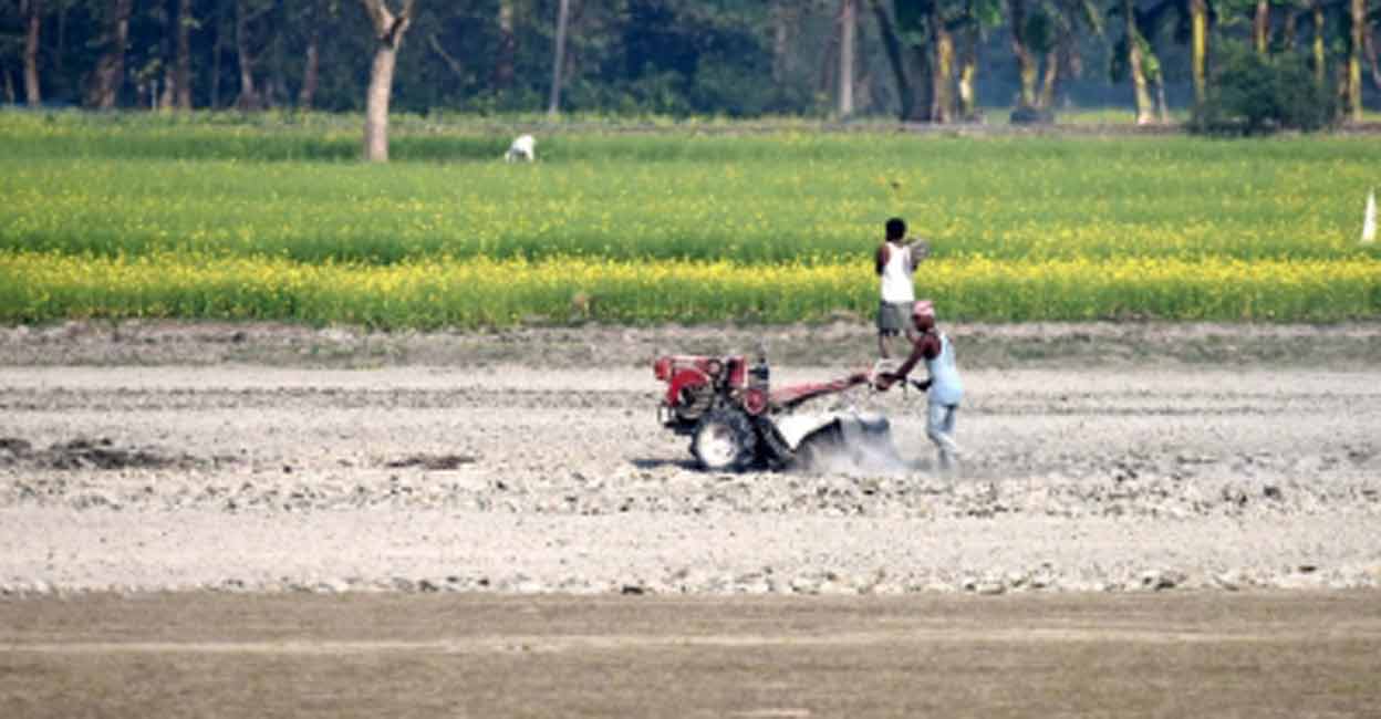 agriculture land Representative image. Photo: IANS