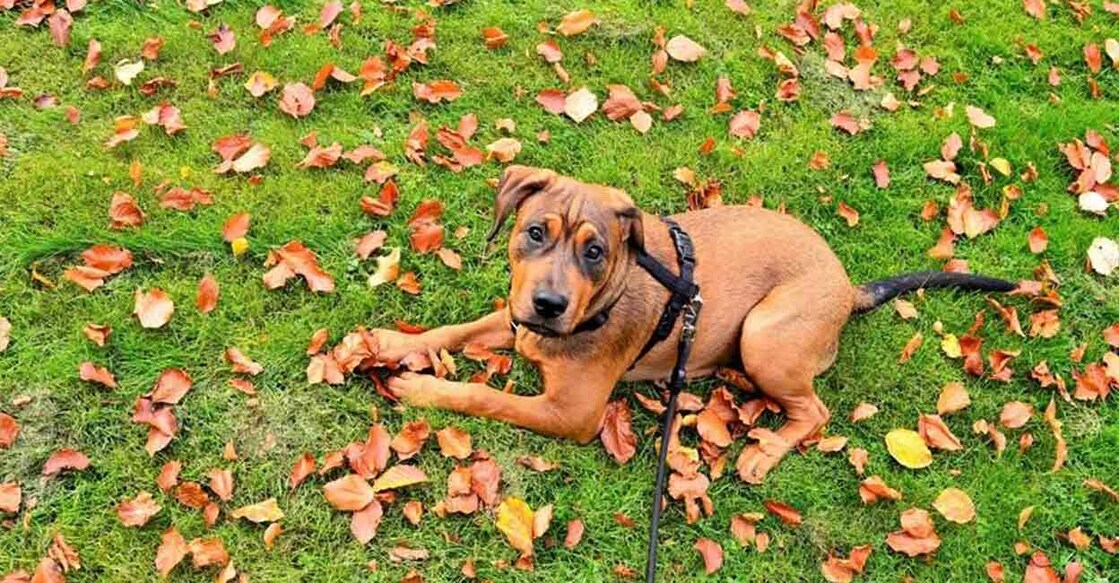 Representative image. Photo: IANS