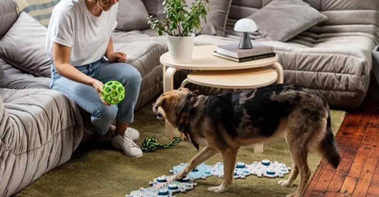 FluentPet Connect: A system that lets pets tell what they