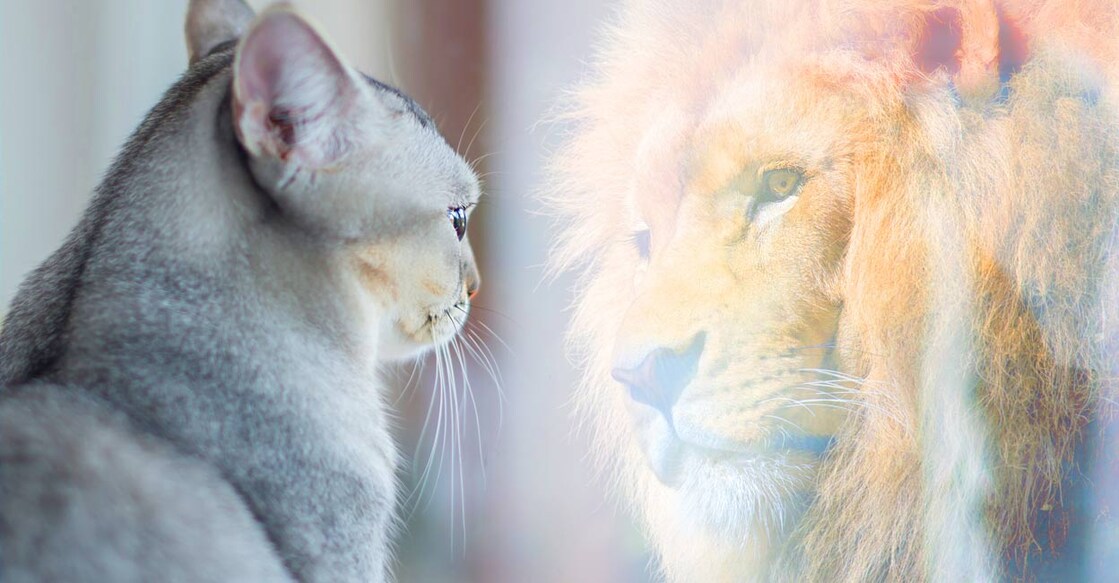 The very core of self-transformation lies in a positive state of mind. Image courtesy: canbedone/iStock