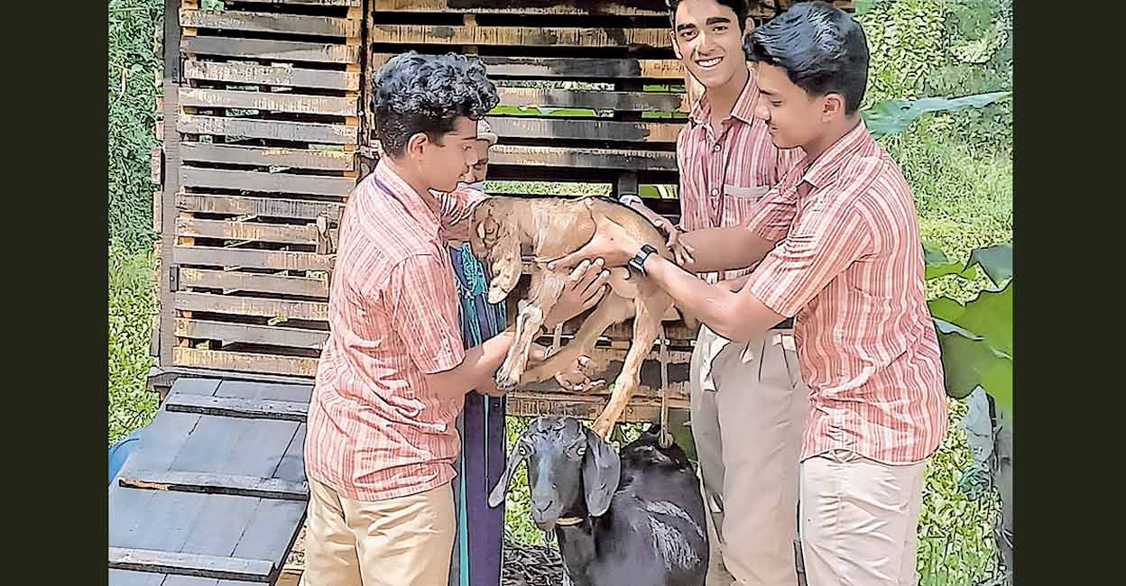 The member students of the National Service Scheme unit at the St. Mary’s school in Manarcad, Kottayam gifting a goat to their friend. Photo: Manorama