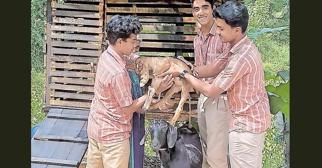 The member students of the National Service Scheme unit at the St. Mary’s school in Manarcad, Kottayam gifting a goat to their friend. Photo: Manorama