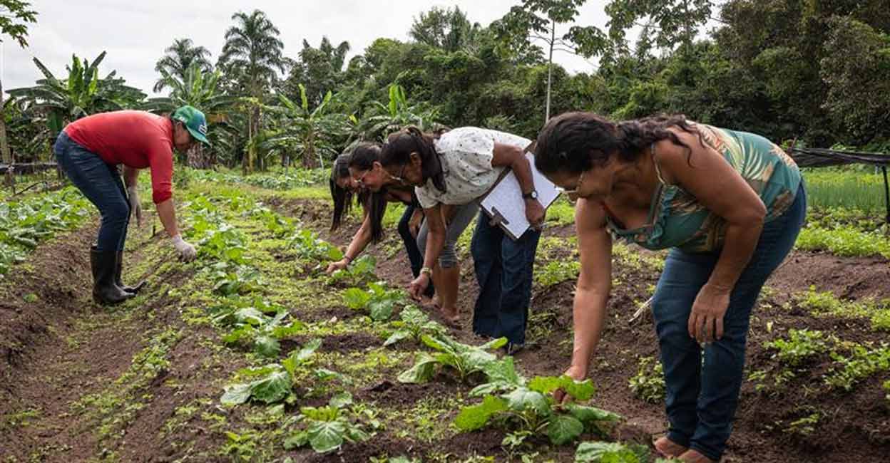 This Brazilian state's green strategy a smart move to bolster economy ...