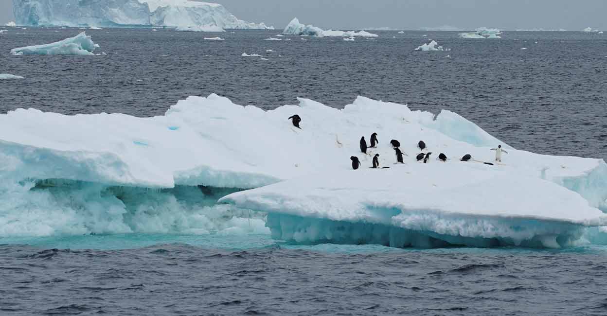An aerial view of the 200-foot-tall (60-meter-tall) front of the Getz Ice Shelf with cracks, in Antarctica. File photo: NASA/Handout via Reuters