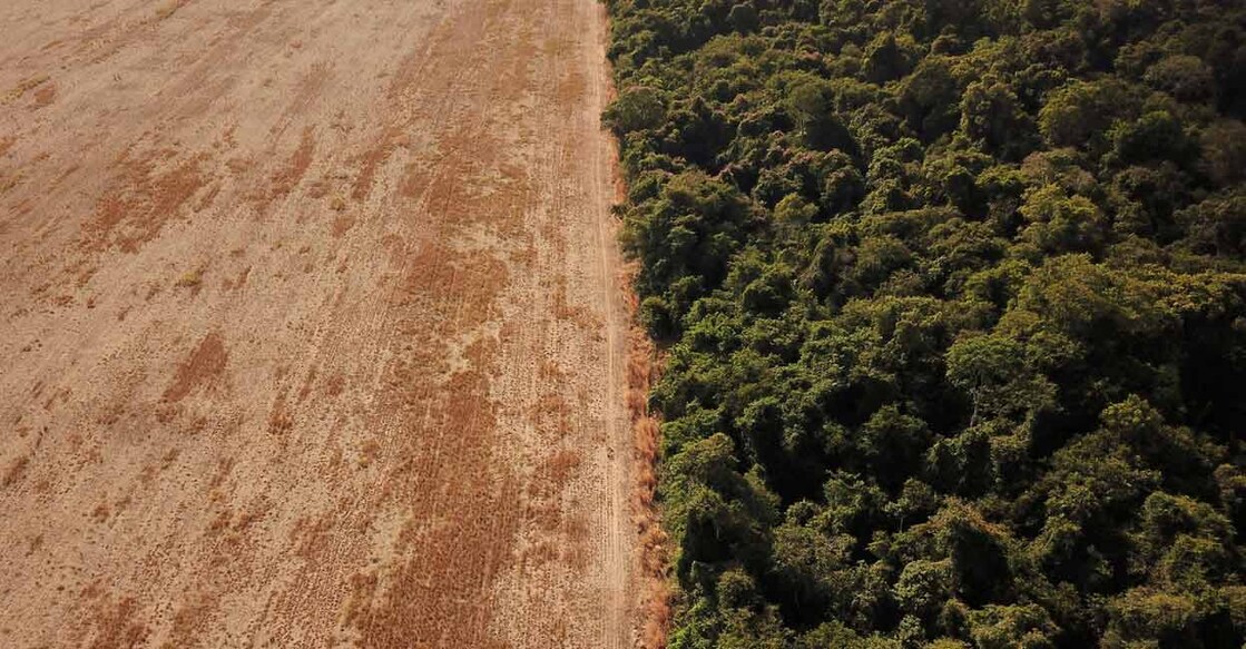 An aerial view shows deforestation near a forest on the border between Amazonia and Cerrado in Nova Xavantina, Brazil. Reuters/Amanda Perobelli/File Photo
