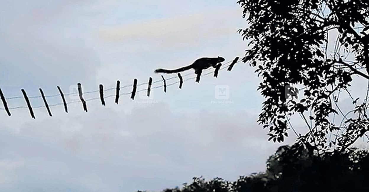 the-sky-bridge-c the-sky-bridge-c