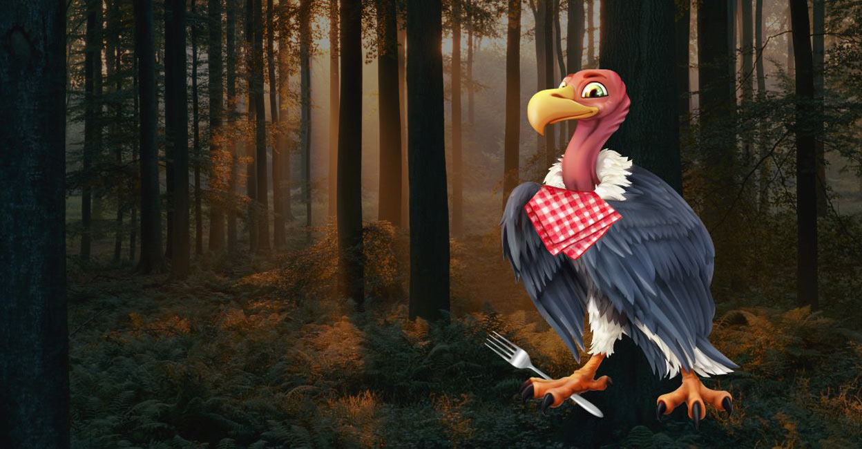 Article Image- Nitya - 1 These sites are designed to help counteract the threats faced by vultures in the wild, such as poisoning from consuming carcasses containing veterinary drugs or chemicals. Photo: Canva