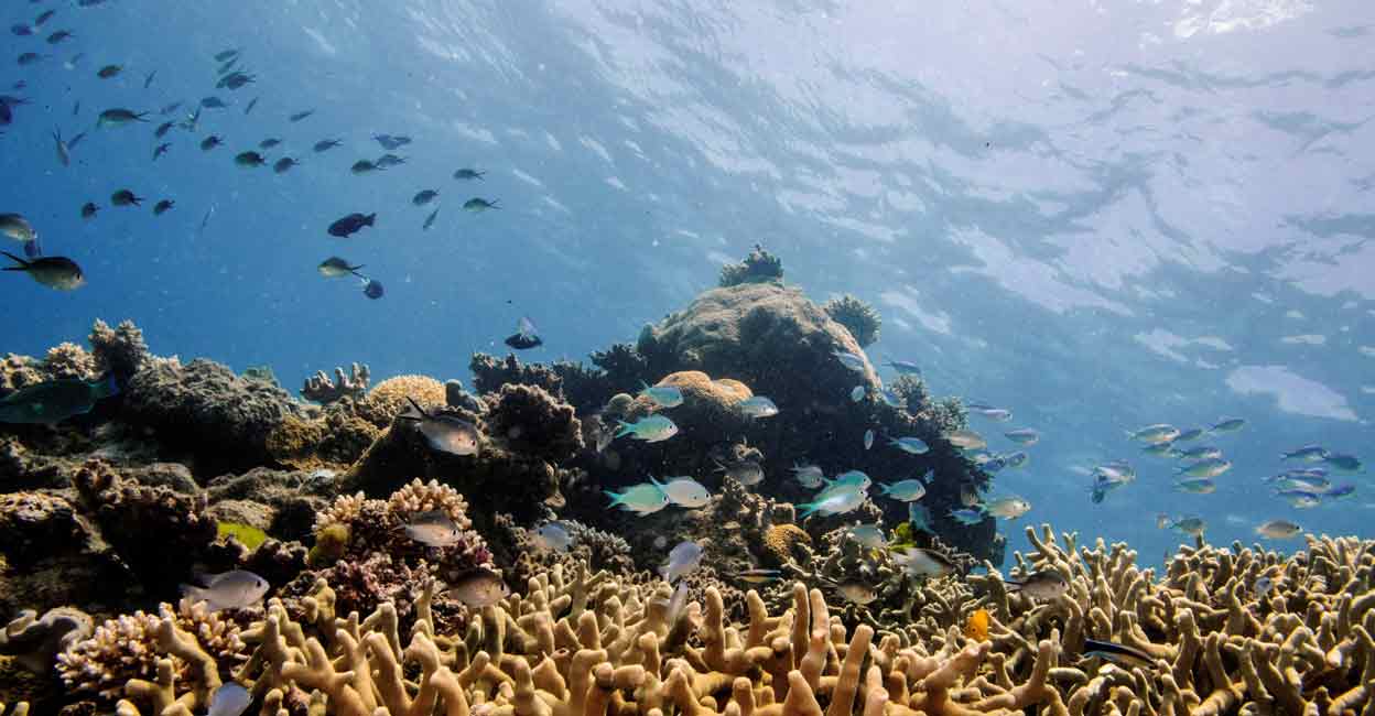GLOBAL-OCEANS-NOISE GLOBAL-OCEANS-NOISE