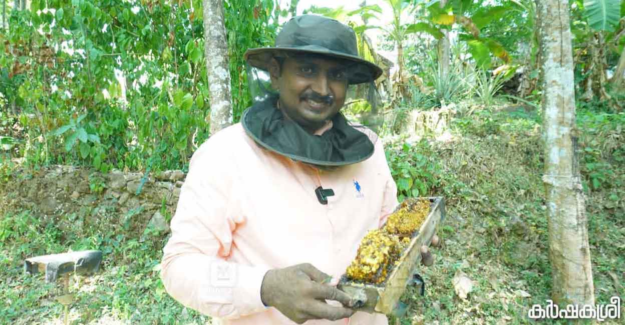 honey-bee-03 honey-bee-03