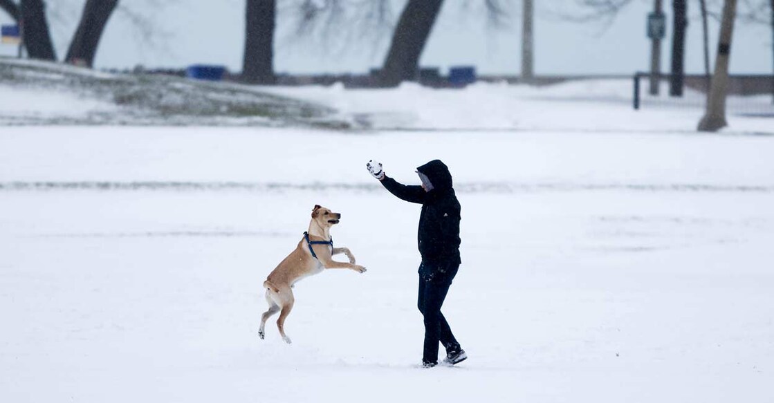 'When animals catch viruses from humans, this can not only harm the animal and potentially pose a conservation threat to the species'. Photo: IANS