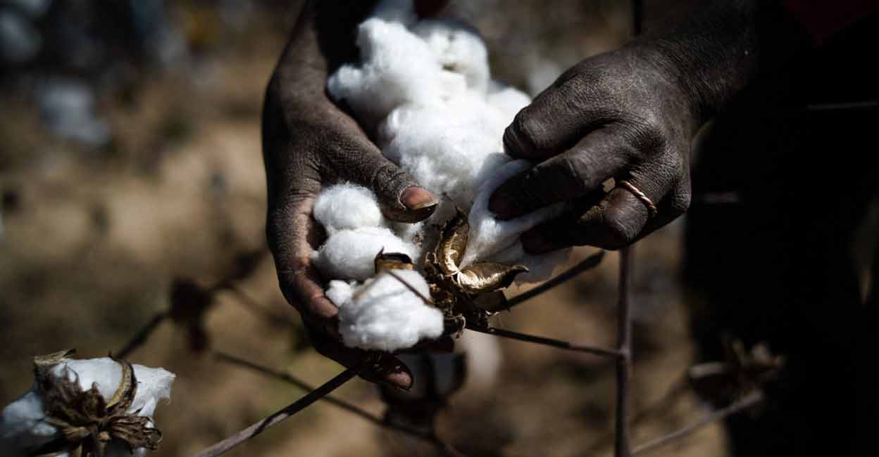 Study Shows 'human-induced' Climate Change Behind Deadly Sahel Heatwave ...