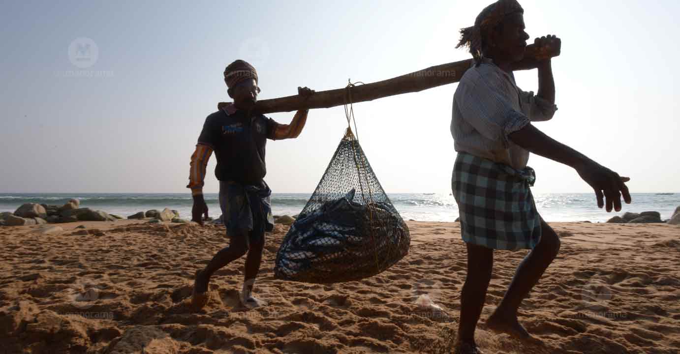 Fishermen carrying a fish catch from the sea. A scene from Poonthura, Thiruvananthapuram. Photo: Rinkuraj Mattancheriyil/Manorama