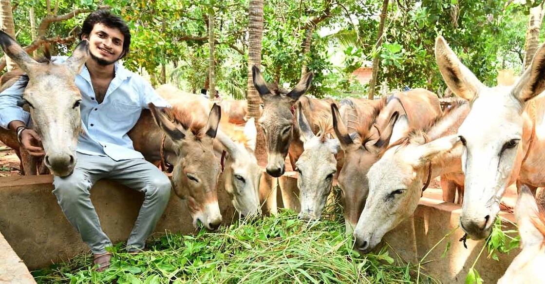 Yadhukrishnan, who owns a dairy farm decided to try his hands at donkey rearing when he came to know about its lucrative prospects. Photo: Sameer A Hameed/Manorama