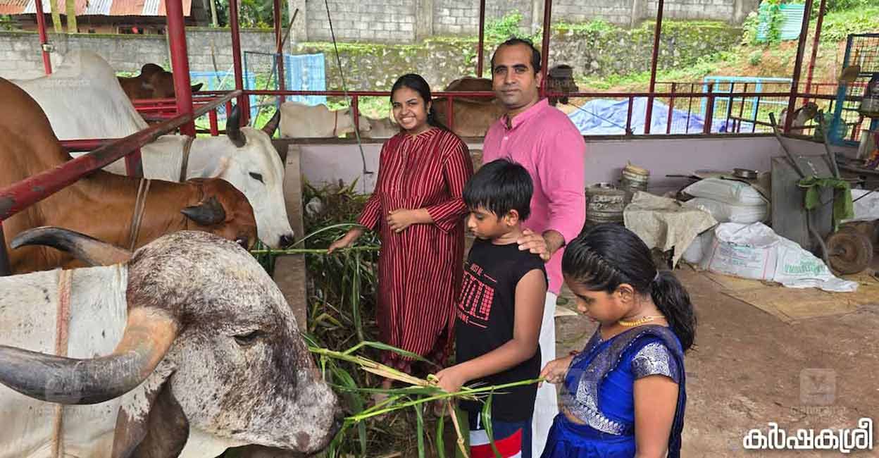 Dr MS Unnikrishnan and Dr Gopika Nair with their children in the cowshed at their ancestral home. Photo: Special arrangement