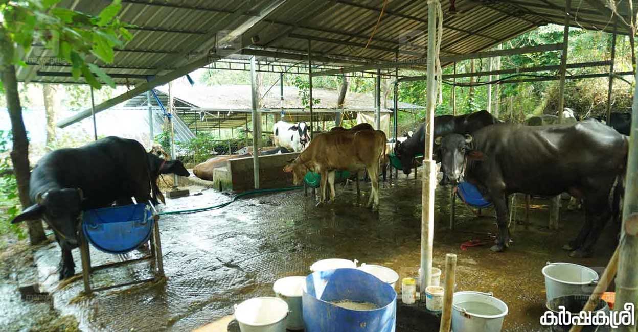 Anand at the farm