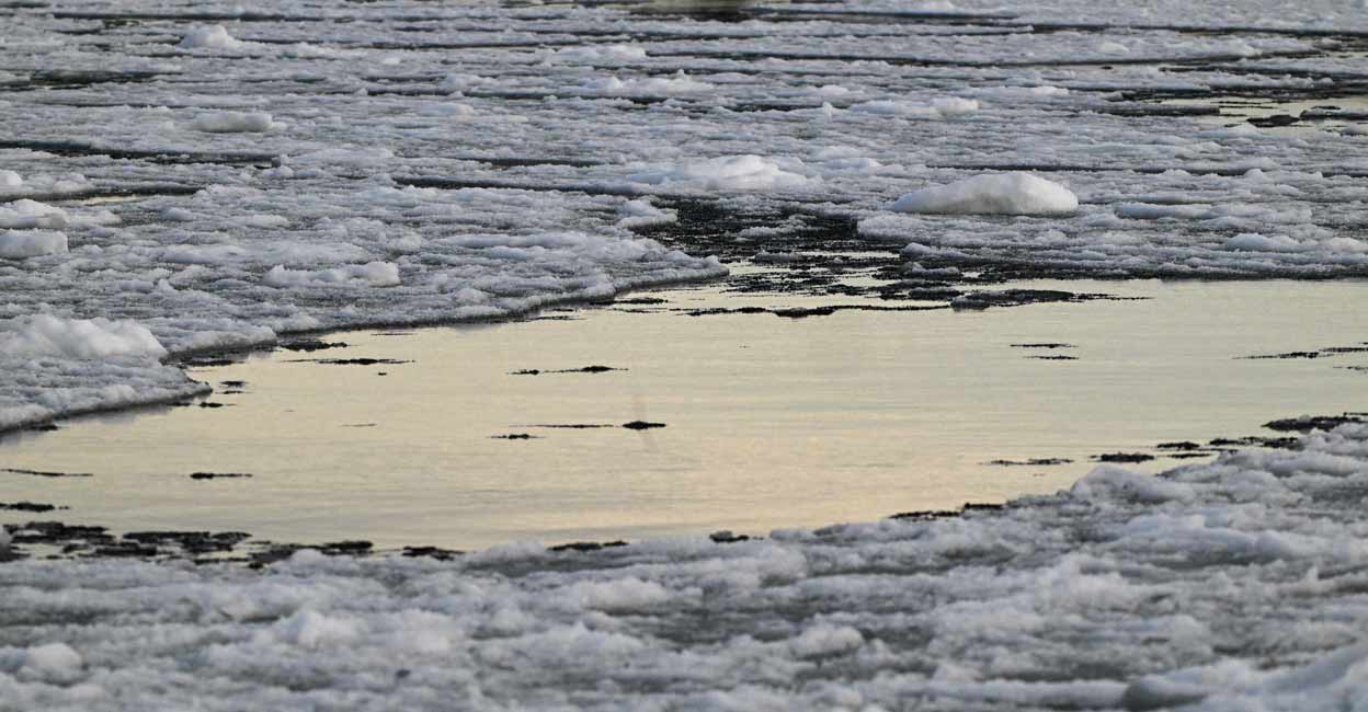 Drifting broken sea ice, floats out at sea, off the extreme western point of Replot Island, in the Baltic Sea. Due to a mild winter and temperatures above zero degrees centigrade, the open sea has not frozen. Photo: Olivier MORIN/AFP