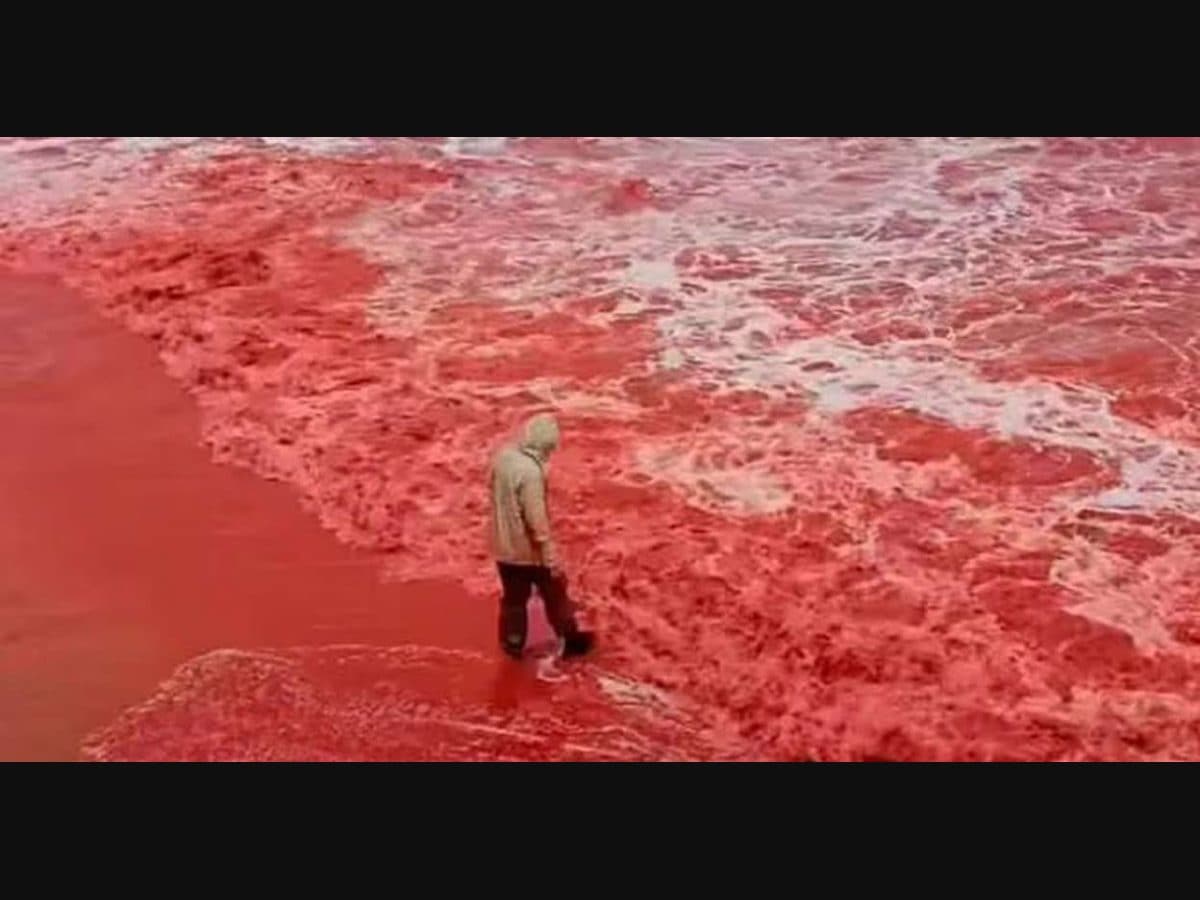 Why tourists are awestruck by this blood-red seashore in Iran | Lifestyle News | English Manorama