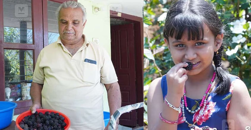 Blackberry-Farm-02-C Blackberry-Farm-02-C