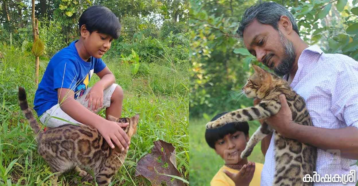 Niyas and his son Mohammed Bilal with a Bengal cat. Photo: Karshakasree