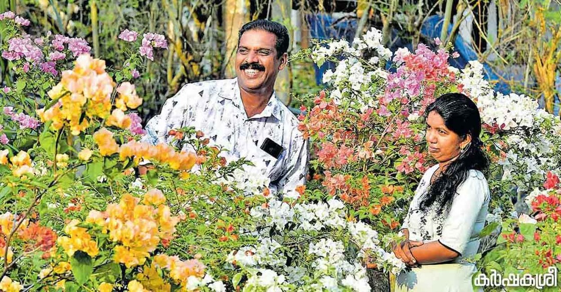 S Siji and Shyama Sasidharan amid bougainvillea plants. Photo: Manorama
