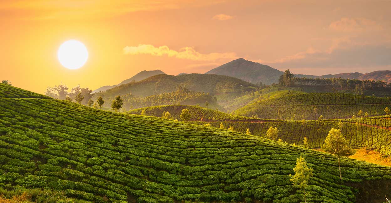 Government initiatives, public awareness, and community engagement and so on play a crucial role in combating global warming. Photo: Scorpp/Shutterstock