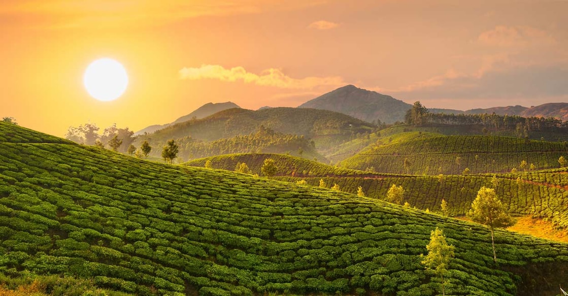 404534479 Government initiatives, public awareness, and community engagement and so on play a crucial role in combating global warming. Photo: Scorpp/Shutterstock